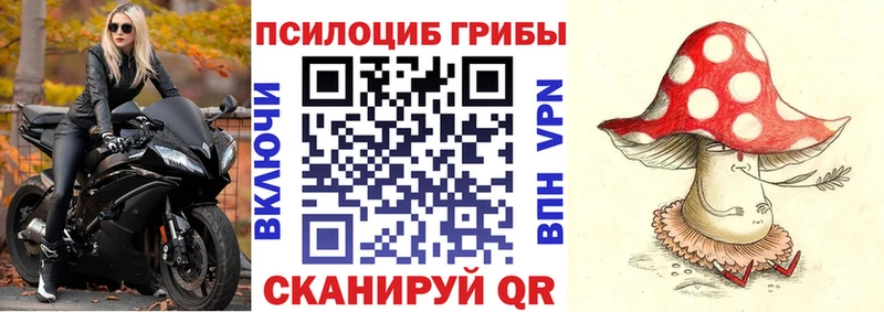 Купить  Семилуки  Псилоцибиновые грибы Magic Shrooms 